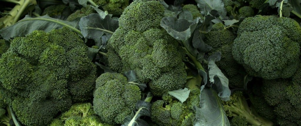 El brócoli tiene un alto valor nutritivo