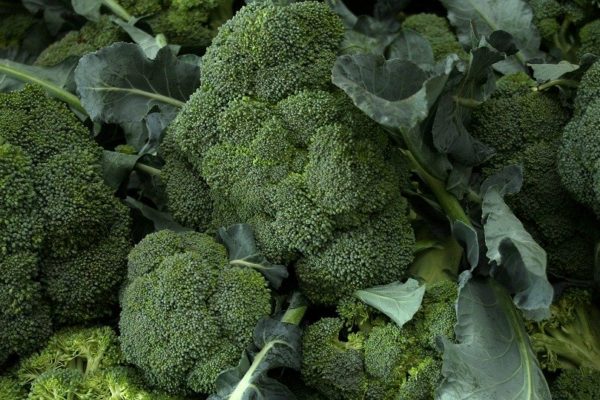 El brócoli tiene un alto valor nutritivo